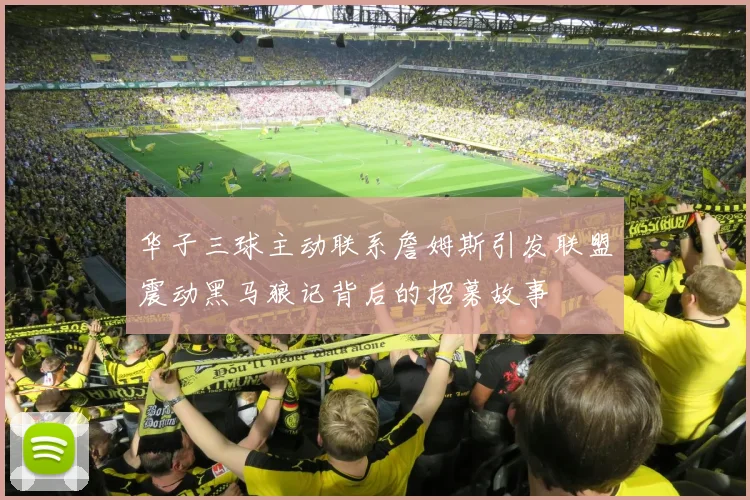 华子三球主动联系詹姆斯引发联盟震动黑马狼记背后的招募故事