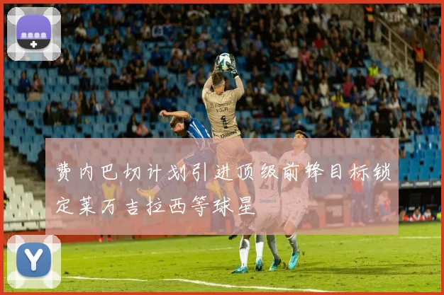 费内巴切计划引进顶级前锋目标锁定莱万吉拉西等球星